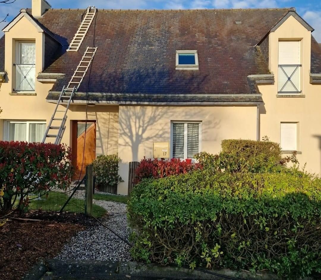 Démoussage de toiture